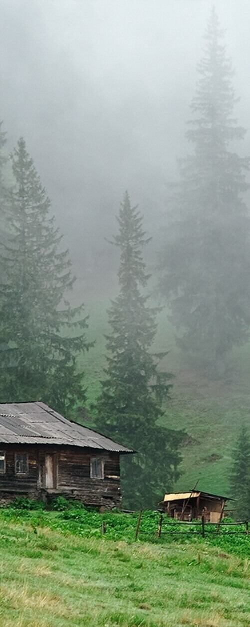 Пример изображения для макета изображения на стекле, фото 6